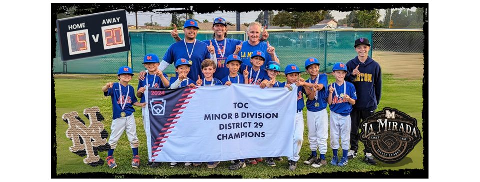 MINOR B METS - DISTRICT 29 CHAMPS!	